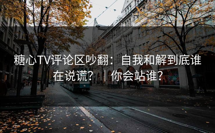 糖心TV评论区吵翻：自我和解到底谁在说谎？｜你会站谁？